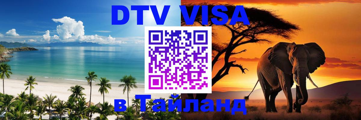 Сколько стоит DTV виза — актуальные цены, оформление даже без документов - 20.11.2025 